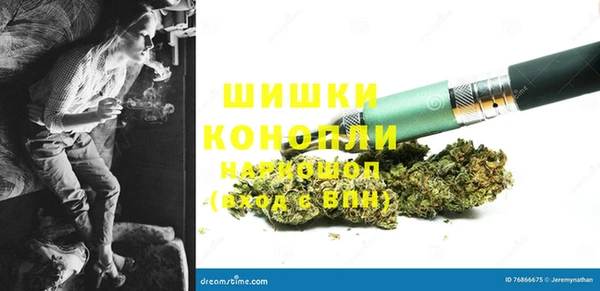 дмт Лиски