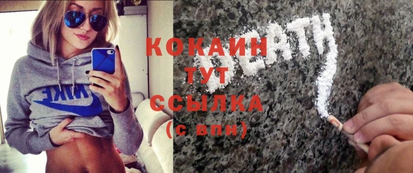 дмт Лиски